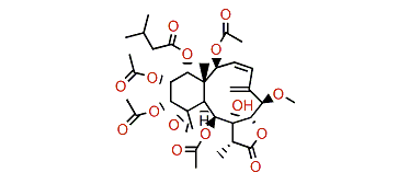 Gemmacolide M